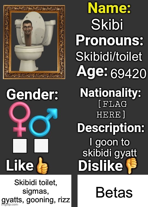 Skibi; Skibidi/toilet; 69420; I goon to skibidi gyatt; Skibidi toilet, sigmas, gyatts, gooning, rizz; Betas | image tagged in introduce thyself | made w/ Imgflip meme maker