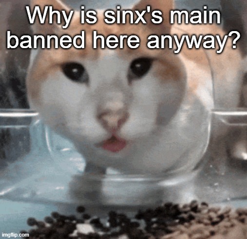 Mr Shock stare | Why is sinx's main banned here anyway? | image tagged in mr shock stare | made w/ Imgflip meme maker