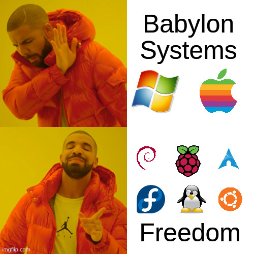 Babylon Systems | Babylon Systems; Freedom | image tagged in memes,drake hotline bling | made w/ Imgflip meme maker