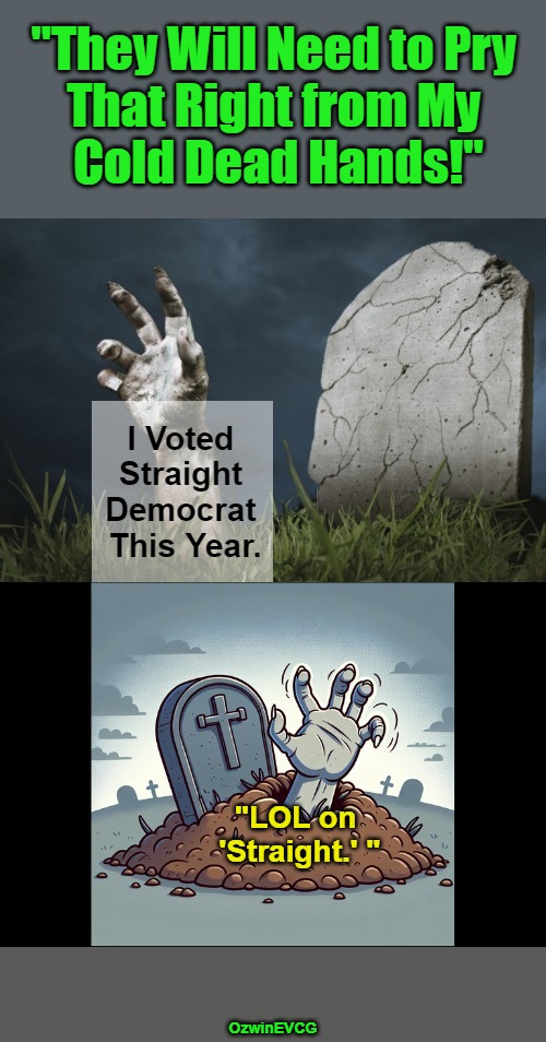 Hopefully Heston Doesn't Mind My Flourish(ing) | "They Will Need to Pry 

That Right from My 

Cold Dead Hands!"; I Voted 

Straight 

Democrat 

This Year. "LOL on 

'Straight.' "; OzwinEVCG | image tagged in hands,graves,cheating,democrats,political humor,rigged elections | made w/ Imgflip meme maker