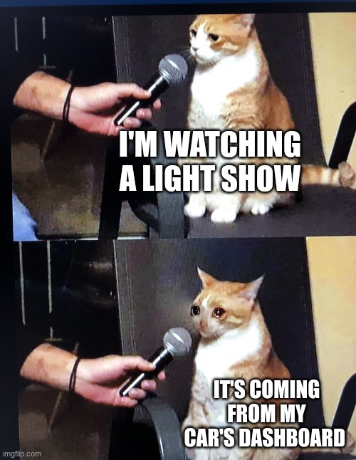 Cat interview crying | I'M WATCHING A LIGHT SHOW; IT'S COMING FROM MY CAR'S DASHBOARD | image tagged in cat interview crying | made w/ Imgflip meme maker