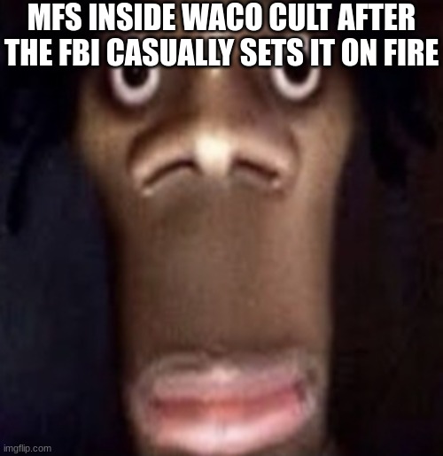 Quandale dingle | MFS INSIDE WACO CULT AFTER THE FBI CASUALLY SETS IT ON FIRE | image tagged in quandale dingle | made w/ Imgflip meme maker