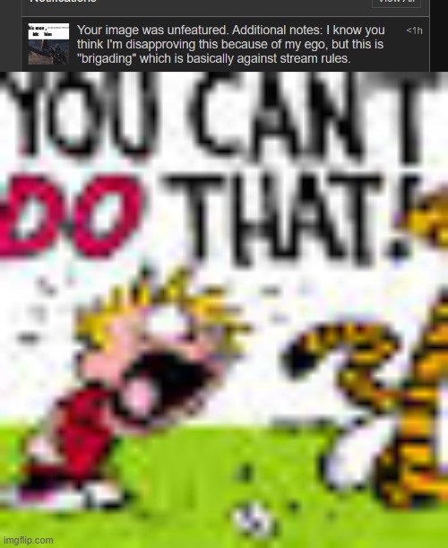 "brigading" means controlled and organized targeting like dude all i said to do is type "idc" | image tagged in calvin and hobbes you can't do that | made w/ Imgflip meme maker