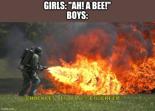 *TF2 Pyro Intensifies* | GIRLS: "AH! A BEE!"
BOYS:; *CHUCKLES IN FLAMMENWERFER* | image tagged in flamethrower,funny,meme,arson,boys vs girls | made w/ Imgflip meme maker