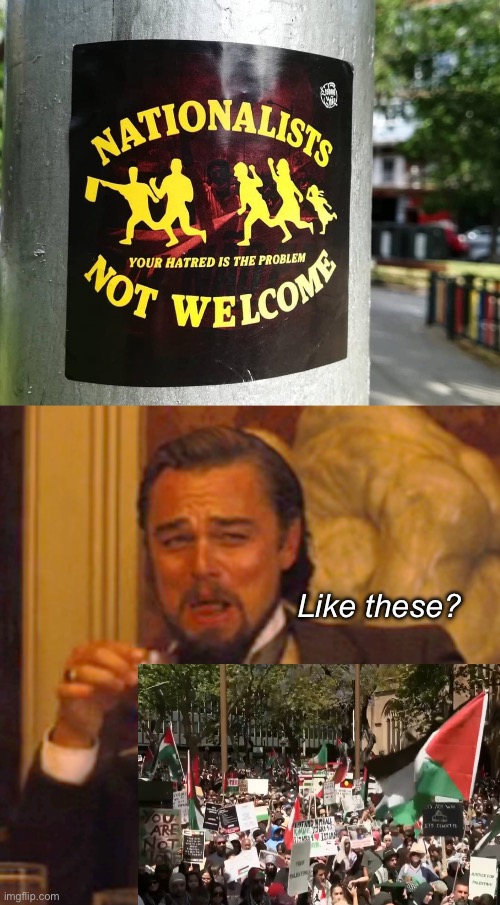 Nationalists | Like these? | image tagged in memes,laughing leo,politics lol | made w/ Imgflip meme maker