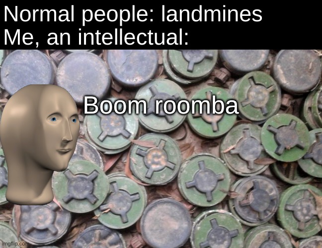 WHAT THE FU-BOOOOOOOOOM | Normal people: landmines
Me, an intellectual:; Boom roomba | image tagged in landmines,boom,haha i have a tag now,you cant stop me making tags,i've made too many help | made w/ Imgflip meme maker