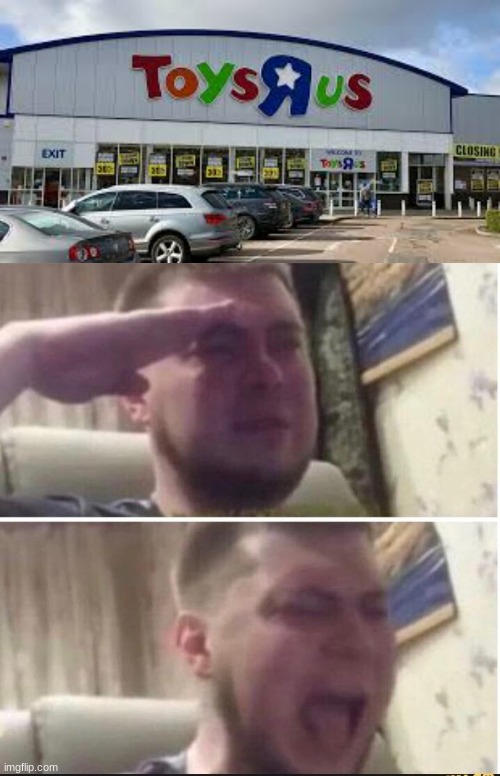 Rip T-T | image tagged in crying salute | made w/ Imgflip meme maker