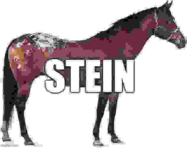 stein Blank Meme Template