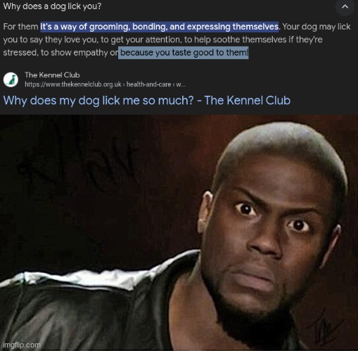 dogs | image tagged in memes,kevin hart | made w/ Imgflip meme maker