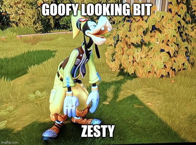 Lewd Goofy | GOOFY LOOKING BIT; ZESTY | image tagged in lewd goofy,shitpost | made w/ Imgflip meme maker