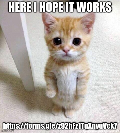 Cute Cat | HERE I HOPE IT WORKS; https://forms.gle/z92hFz1TqXnyuVck7 | image tagged in memes,cute cat | made w/ Imgflip meme maker