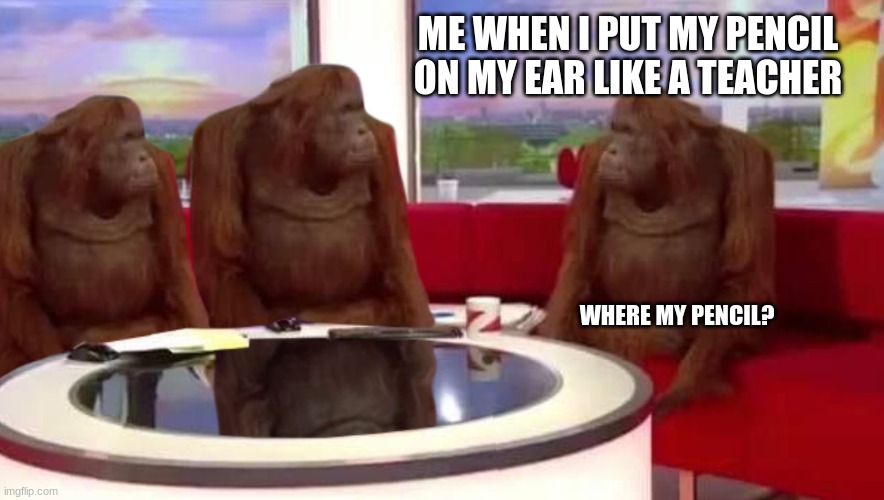 wheres my pencil | ME WHEN I PUT MY PENCIL ON MY EAR LIKE A TEACHER; WHERE MY PENCIL? | image tagged in where monkey | made w/ Imgflip meme maker