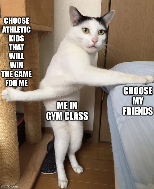 Cat Twisted Can't Decide Cannot | CHOOSE ATHLETIC KIDS THAT WILL WIN THE GAME FOR ME; CHOOSE MY FRIENDS; ME IN GYM CLASS | image tagged in cat twisted can't decide cannot | made w/ Imgflip meme maker