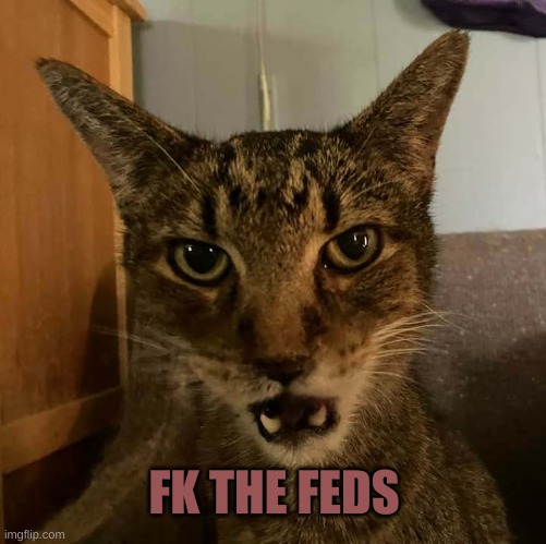 only going to tell you once cat | FK THE FEDS | image tagged in only going to tell you once cat | made w/ Imgflip meme maker