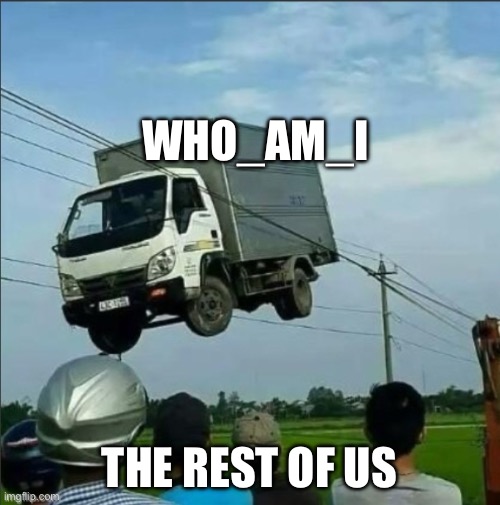 WHO_AM_I | WHO_AM_I; THE REST OF US | image tagged in truck in power line,whoami | made w/ Imgflip meme maker