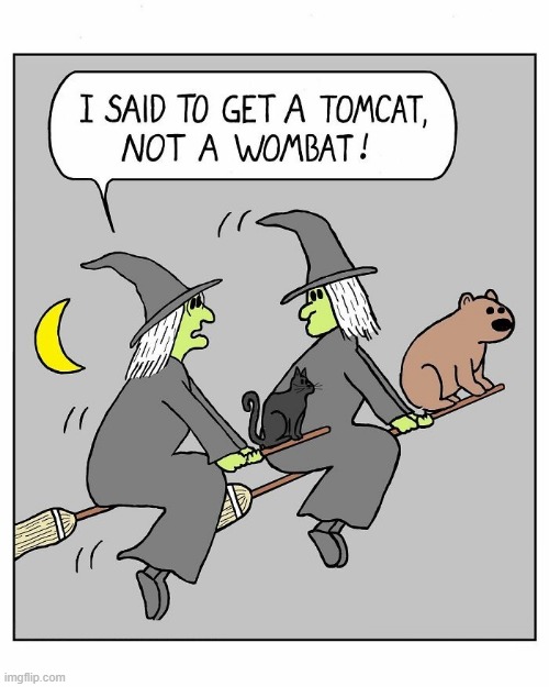 Not a Wombat | image tagged in comics | made w/ Imgflip meme maker