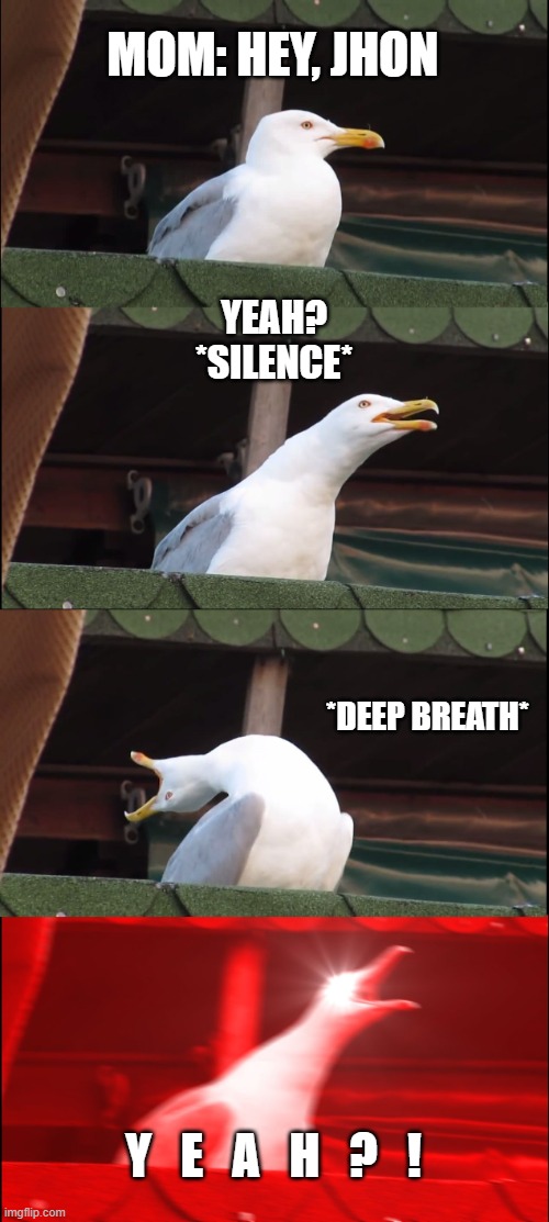 did this ever happened to you, and you needed to do this? | MOM: HEY, JHON; YEAH?
*SILENCE*; *DEEP BREATH*; Y   E   A   H   ?   ! | image tagged in memes,inhaling seagull | made w/ Imgflip meme maker