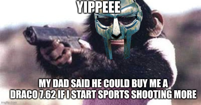 I'm so excited | YIPPEEE; MY DAD SAID HE COULD BUY ME A DRACO 7.62 IF I START SPORTS SHOOTING MORE | image tagged in monkey crashout | made w/ Imgflip meme maker