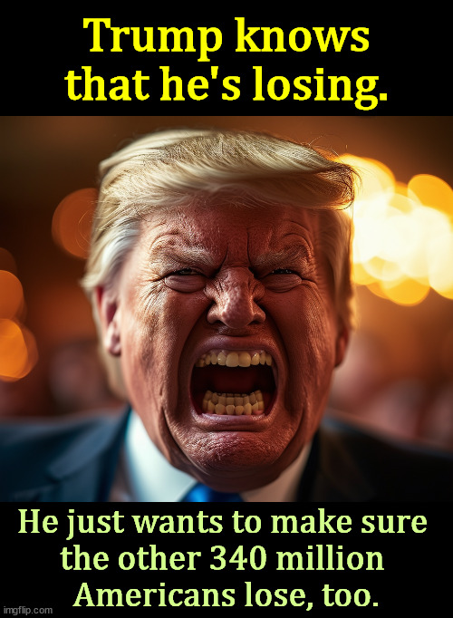 Trump knows that he's losing. He just wants to make sure 
the other 340 million 
Americans lose, too. | image tagged in trump,loser,crazy,insane,malignant narcissist | made w/ Imgflip meme maker