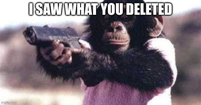 monkey crashout | I SAW WHAT YOU DELETED | image tagged in monkey crashout | made w/ Imgflip meme maker