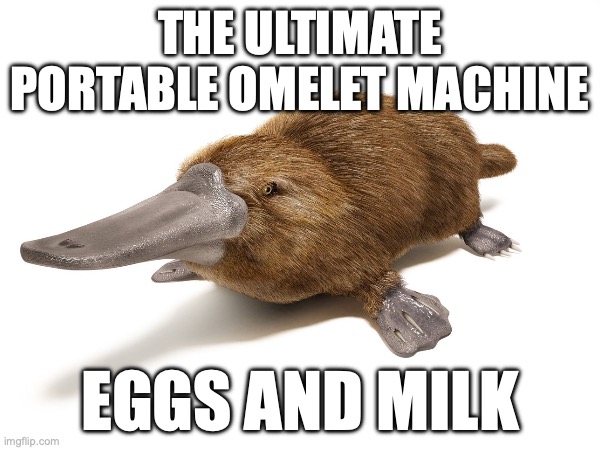 ????? | THE ULTIMATE PORTABLE OMELET MACHINE; EGGS AND MILK | image tagged in funny,wait what | made w/ Imgflip meme maker