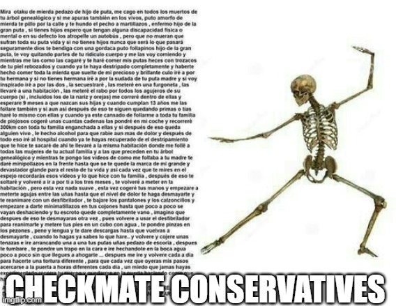 Skeleton Wall of Text | CHECKMATE CONSERVATIVES | image tagged in skeleton wall of text | made w/ Imgflip meme maker