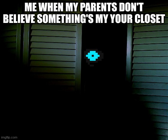 closet | ME WHEN MY PARENTS DON'T BELIEVE SOMETHING'S MY YOUR CLOSET | image tagged in closet | made w/ Imgflip meme maker