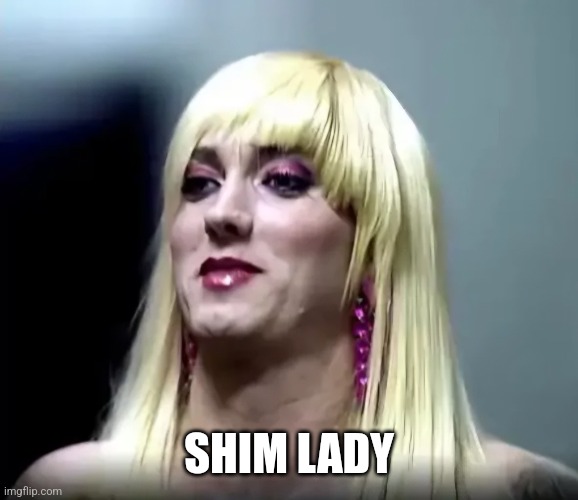 SHIM LADY | image tagged in memes | made w/ Imgflip meme maker
