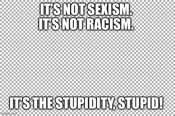 It’s the stupidity | IT’S NOT SEXISM. 

IT’S NOT RACISM. IT’S THE STUPIDITY, STUPID! | image tagged in free | made w/ Imgflip meme maker