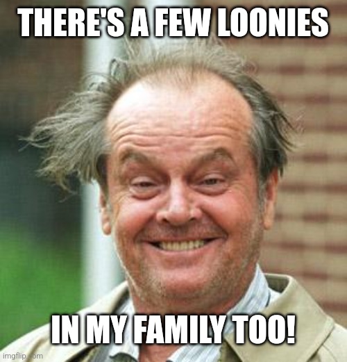 Jack Nicholson Crazy Hair | THERE'S A FEW LOONIES IN MY FAMILY TOO! | image tagged in jack nicholson crazy hair | made w/ Imgflip meme maker