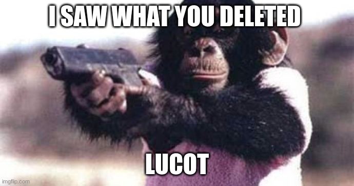 monkey crashout | I SAW WHAT YOU DELETED; LUCOT | image tagged in monkey crashout | made w/ Imgflip meme maker