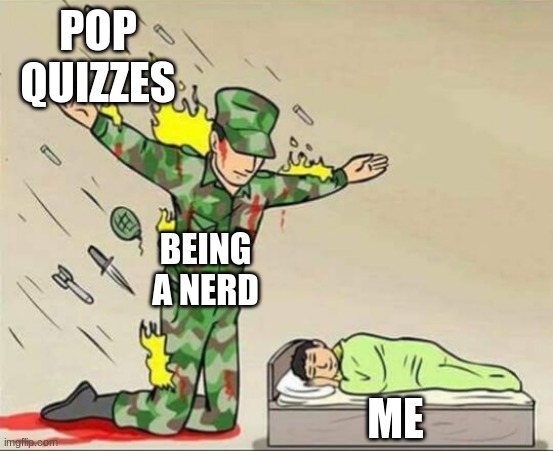 Pop Quizzes | POP QUIZZES; BEING A NERD; ME | image tagged in soldier protecting sleeping child,pop quizzes,wow,omg,me,hi | made w/ Imgflip meme maker