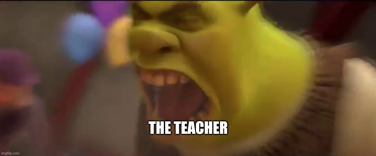 Shrek Screaming | THE TEACHER | image tagged in shrek screaming | made w/ Imgflip meme maker