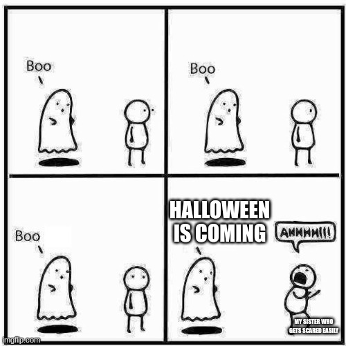 Halloween Is Coming | HALLOWEEN IS COMING; MY SISTER WHO GETS SCARED EASILY | image tagged in ghost boo,halloween,is,coming,hi,omg | made w/ Imgflip meme maker