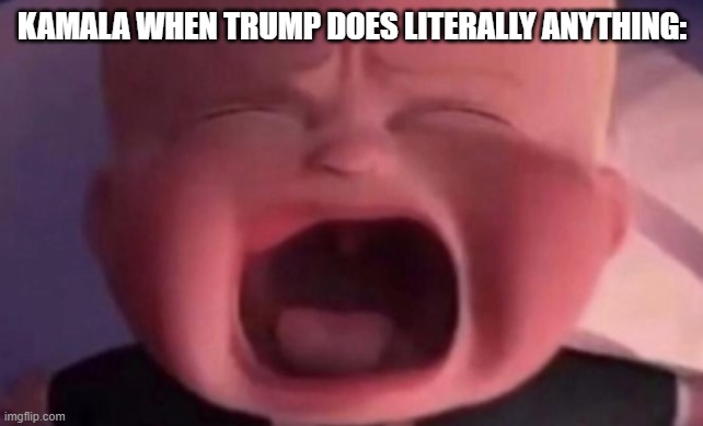 boss baby crying | KAMALA WHEN TRUMP DOES LITERALLY ANYTHING: | image tagged in boss baby crying | made w/ Imgflip meme maker