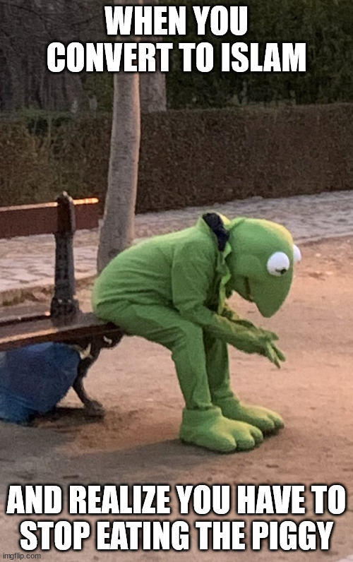 kermit in costume depressed | WHEN YOU CONVERT TO ISLAM; AND REALIZE YOU HAVE TO
STOP EATING THE PIGGY | image tagged in kermit in costume depressed | made w/ Imgflip meme maker