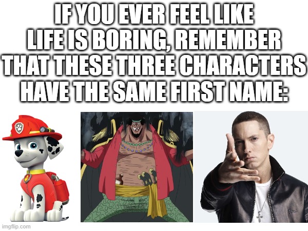 (Marshall btw) And yes, I know that "technically", according to japan, Blackbeard's real first name is Teach, but idc | IF YOU EVER FEEL LIKE LIFE IS BORING, REMEMBER THAT THESE THREE CHARACTERS HAVE THE SAME FIRST NAME: | image tagged in coincidence i think not,paw patrol,one piece,eminem | made w/ Imgflip meme maker