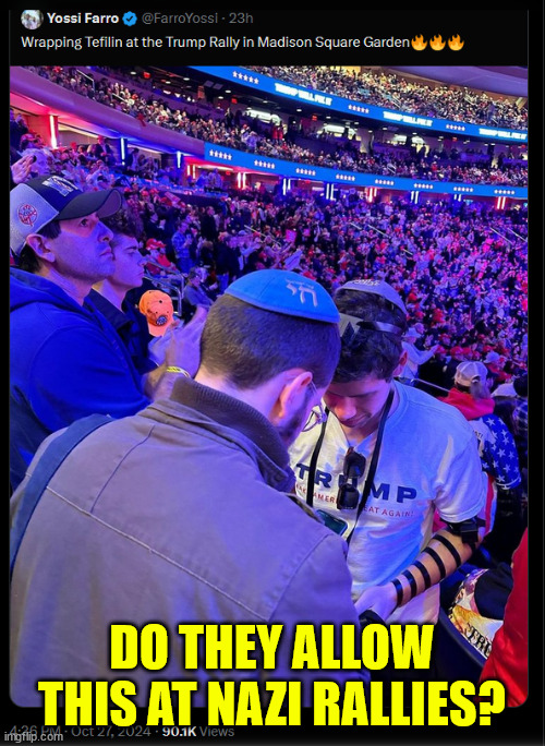 DO THEY ALLOW THIS AT NAZI RALLIES? | made w/ Imgflip meme maker