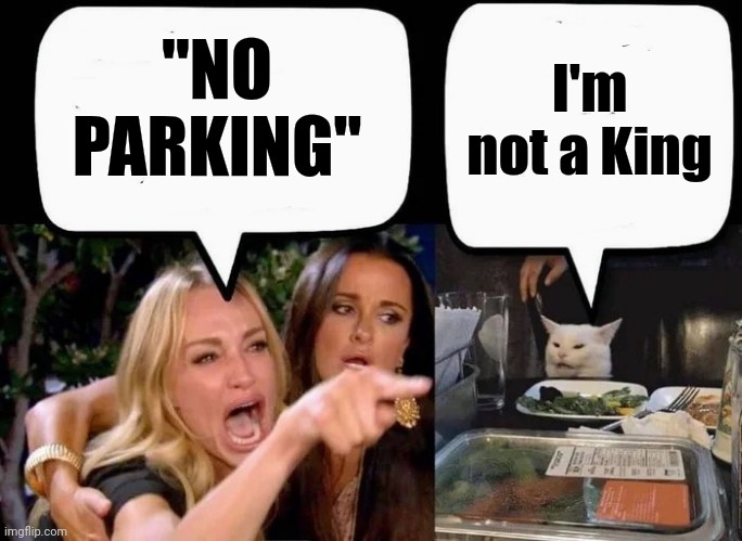 "NO PARKING" I'm not a King | image tagged in don't eat the cat | made w/ Imgflip meme maker