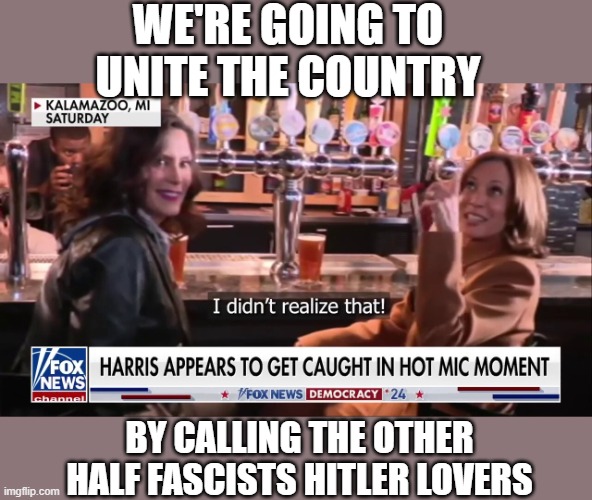 Kamala and Gretchen | WE'RE GOING TO UNITE THE COUNTRY; BY CALLING THE OTHER HALF FASCISTS HITLER LOVERS | image tagged in kamala and gretchen | made w/ Imgflip meme maker