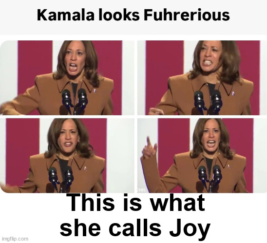 This is what she calls Joy | made w/ Imgflip meme maker