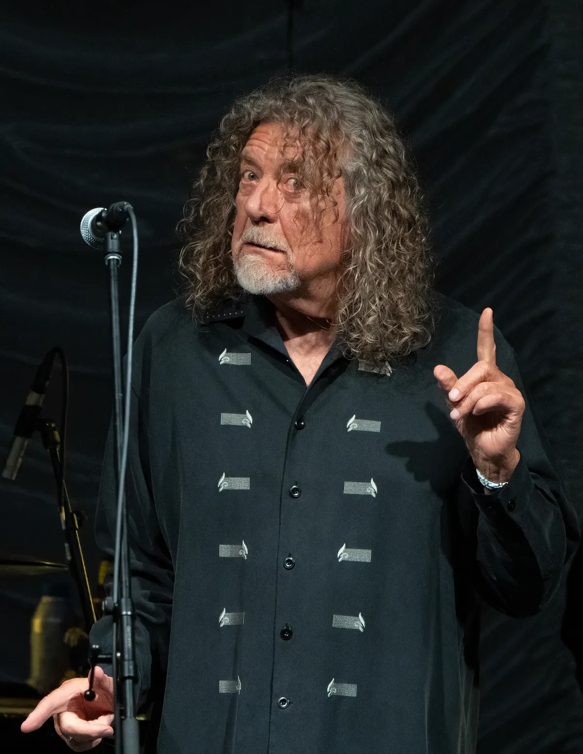 Robert Plant Blank Meme Template