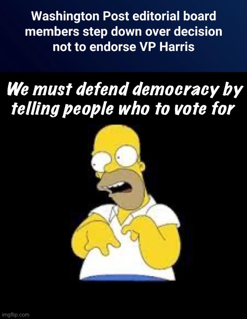 Imagine being dumb enough to walk out or drop your subscription over this | We must defend democracy by telling people who to vote for | image tagged in look marge,politics lol,memes | made w/ Imgflip meme maker