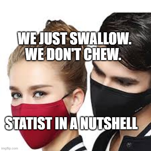 Mask Couple | WE JUST SWALLOW. WE DON'T CHEW. STATIST IN A NUTSHELL | image tagged in mask couple | made w/ Imgflip meme maker