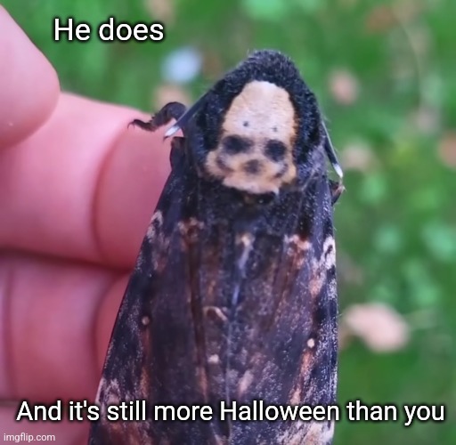 He does And it's still more Halloween than you | made w/ Imgflip meme maker