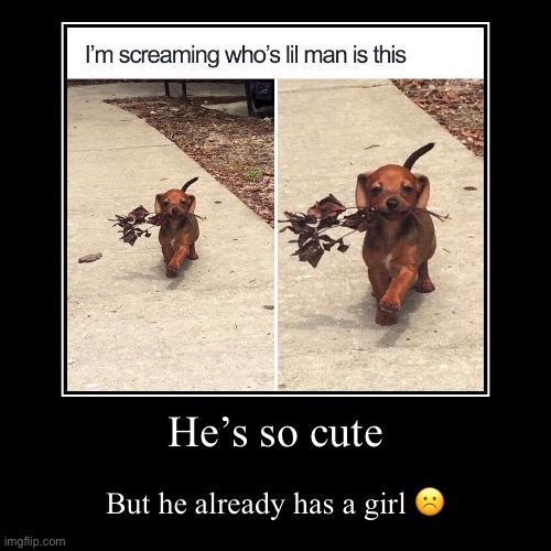 He’s so cute | But he already has a girl ☹️ | image tagged in funny,demotivationals | made w/ Imgflip demotivational maker