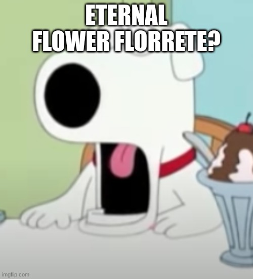 shocked brian | ETERNAL FLOWER FLORRETE? | image tagged in shocked brian | made w/ Imgflip meme maker