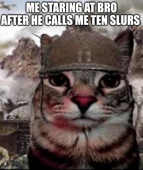 1000 yard stare cat | ME STARING AT BRO AFTER HE CALLS ME TEN SLURS | image tagged in 1000 yard stare cat | made w/ Imgflip meme maker