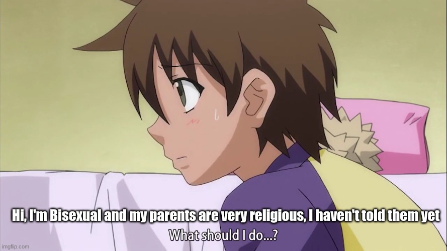 What should I do...? | Hi, I'm Bisexual and my parents are very religious, I haven't told them yet | image tagged in what should i do,help,bisexual,parents | made w/ Imgflip meme maker