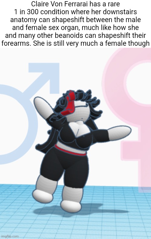 Claire Von Ferrarai has a rare 1 in 300 condition where her downstairs anatomy can shapeshift between the male and female sex organ, much like how she and many other beanoids can shapeshift their forearms. She is still very much a female though | made w/ Imgflip meme maker